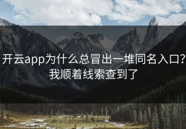 开云app为什么总冒出一堆同名入口？我顺着线索查到了