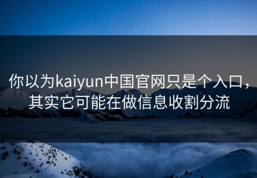 你以为kaiyun中国官网只是个入口，其实它可能在做信息收割分流