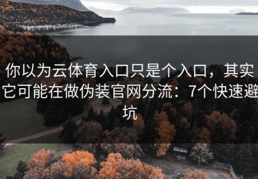 你以为云体育入口只是个入口，其实它可能在做伪装官网分流：7个快速避坑