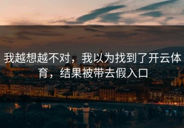 我越想越不对，我以为找到了开云体育，结果被带去假入口