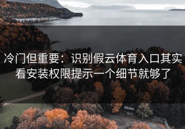 冷门但重要：识别假云体育入口其实看安装权限提示一个细节就够了
