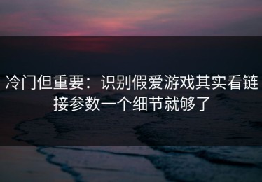 冷门但重要：识别假爱游戏其实看链接参数一个细节就够了