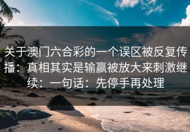 关于澳门六合彩的一个误区被反复传播：真相其实是输赢被放大来刺激继续：一句话：先停手再处理
