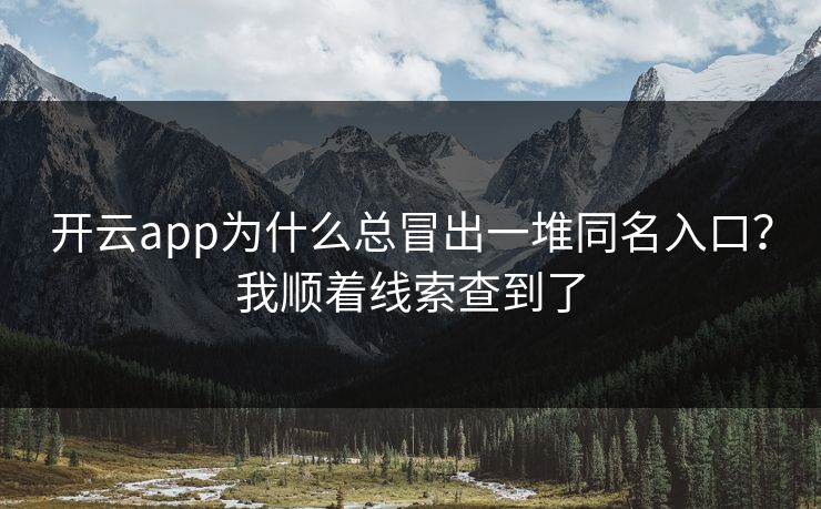 开云app为什么总冒出一堆同名入口？我顺着线索查到了